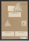 Diatomeae indet. Zeichnungen Sammlung Grunow Nr. 7580 (NHMW-BOT-W0376735)